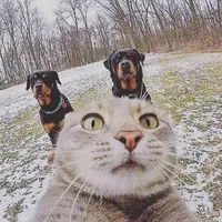 original sound - aleatoriamente..7