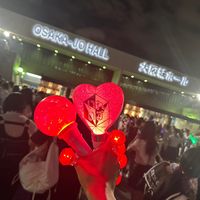 taiki_amp_iris