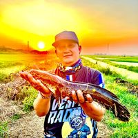 nuynoy_shopfishing