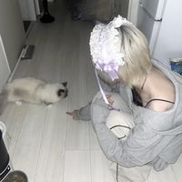オリジナル楽曲 - 👶🏻👑配信者ばぶしゃん社長👑👶🏻