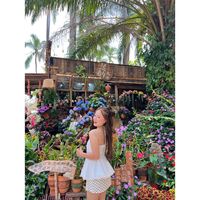 pheng_sp