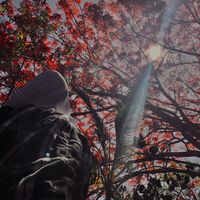 vknky_