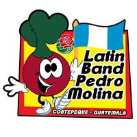 latinbandpedromolina
