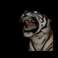 original sound - dome.mejia08