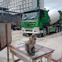 bunyi asal - Ocang Shahril