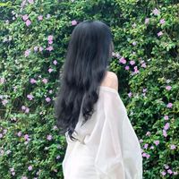 nhạc nền - Lê Thế Sơnn