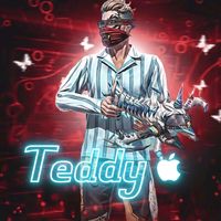 nos.teddy