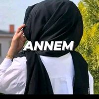 gulbeyaz291