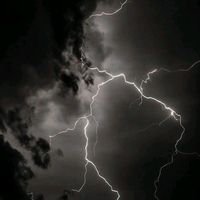 raz_v
