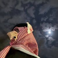 الصوت الأصلي