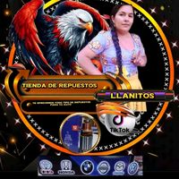 llanos128