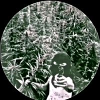 original sound - ZXING...
