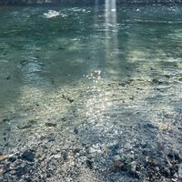 オリジナル楽曲 - kyomi