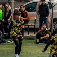 malismaili2015