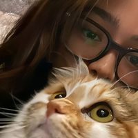 suara asli - 🎀-put