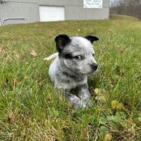 Follow me