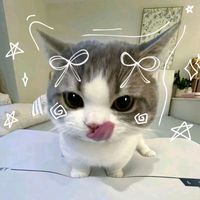 original sound - milaaa 🧋🐾