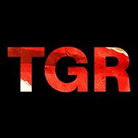 thegamingrevolution