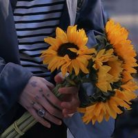 เสียงต้นฉบับ - magicjk1997