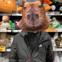 оригинальный звук