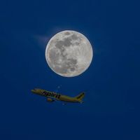 naanflight