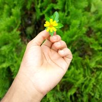 sarker_07_j