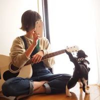 aoimiyako._
