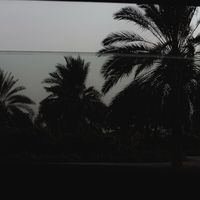 n_ah01