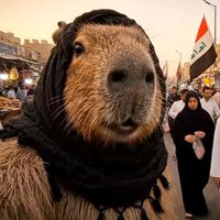 الصوت الأصلي