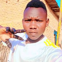 user1728768417688