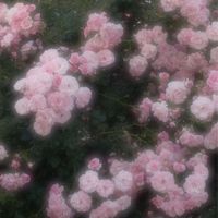 __0ix2x