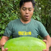 nhạc nền - Lão Nhà Quê