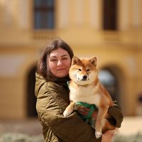 toshimi_style_kennel