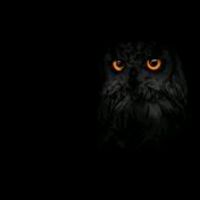 original sound - 🦉burung hantu🦉