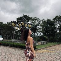 malustefanodedeus