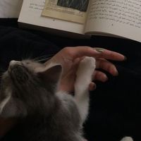 rima.klio