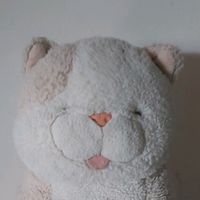 kitty_bearmeow