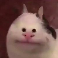 오리지널 사운드 - .