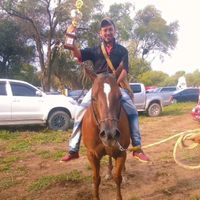 leones742