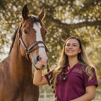 dra.horses