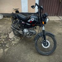 dmitrievvt