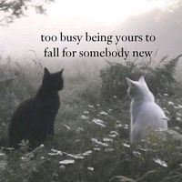 original sound - Dandelionne 𖤣 🏹