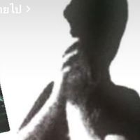 hammerhead.13