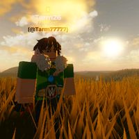 tarm267