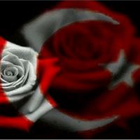 orijinal ses