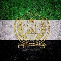 shekibpanjshiri2525
