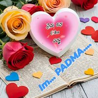 padama199