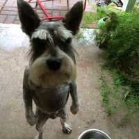 .gxqz