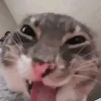 original sound - guzfringzzz