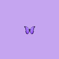 sasa.moshesha
